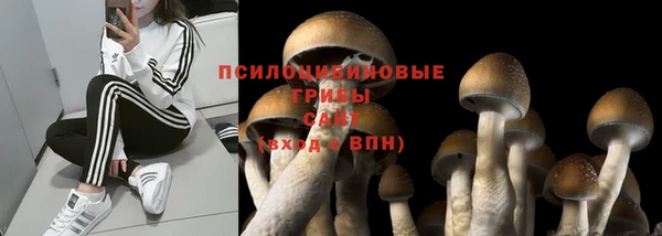 ГАЛЛЮЦИНОГЕННЫЕ ГРИБЫ Беломорск