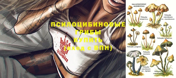 шишки Балахна